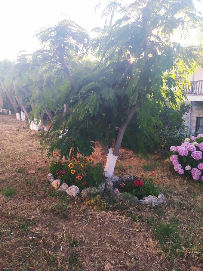 Panorama Palaiοpolis Hotel Palaiopoli  ภายนอก รูปภาพ